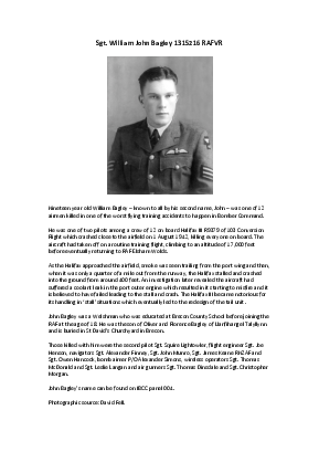 A preview of a PDF biography for Bagley, William John
